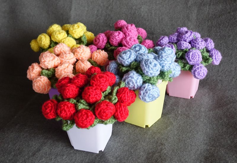 Miniature Roses Miniature Roses