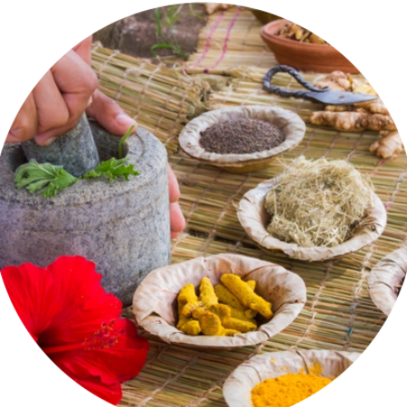 Moringa Powder NA