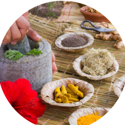 Moringa Powder NA