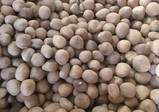 Coconut Dry Kopra