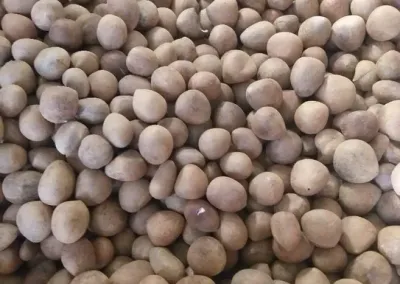 Coconut Dry Kopra
