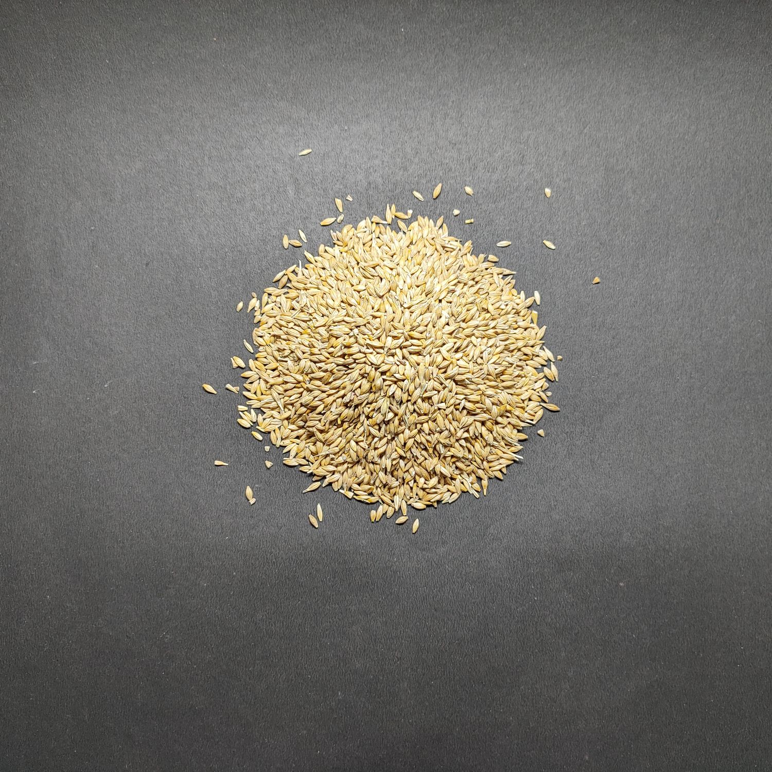 Grains Jau Barley Hulled