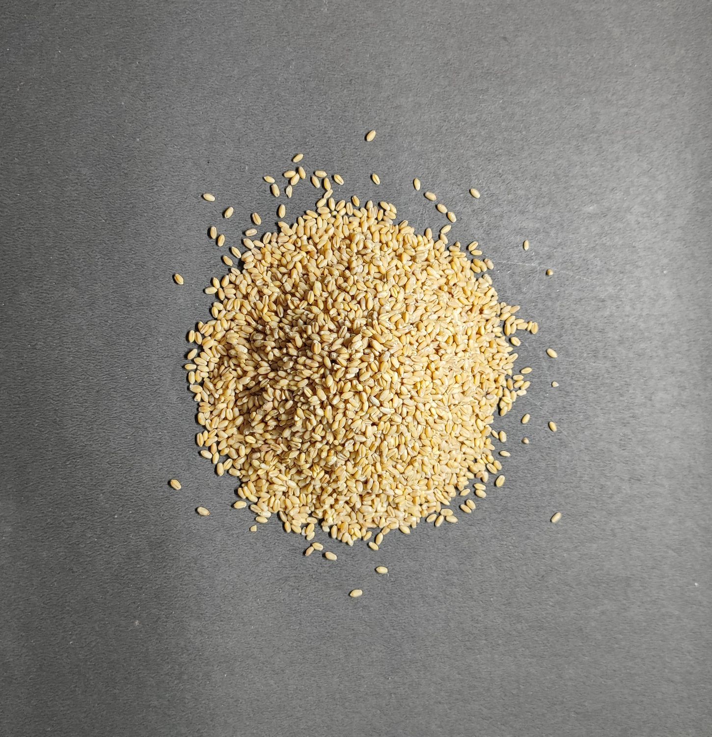 Grains Wheat C-306