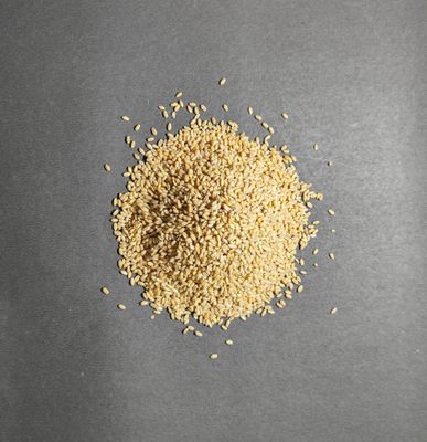Grains Wheat C-306