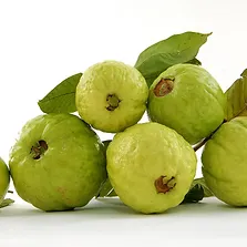 Guava White