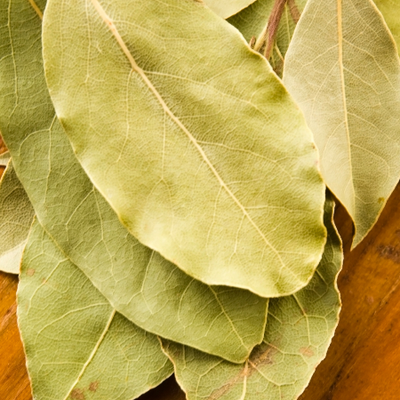 Tej Patta Bay Leaf