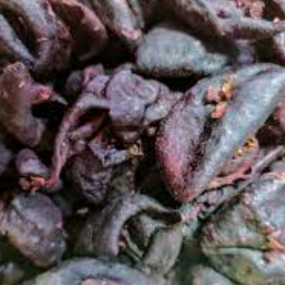 Kokum Malabar Tamarind