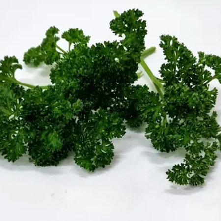 Parsley Curly