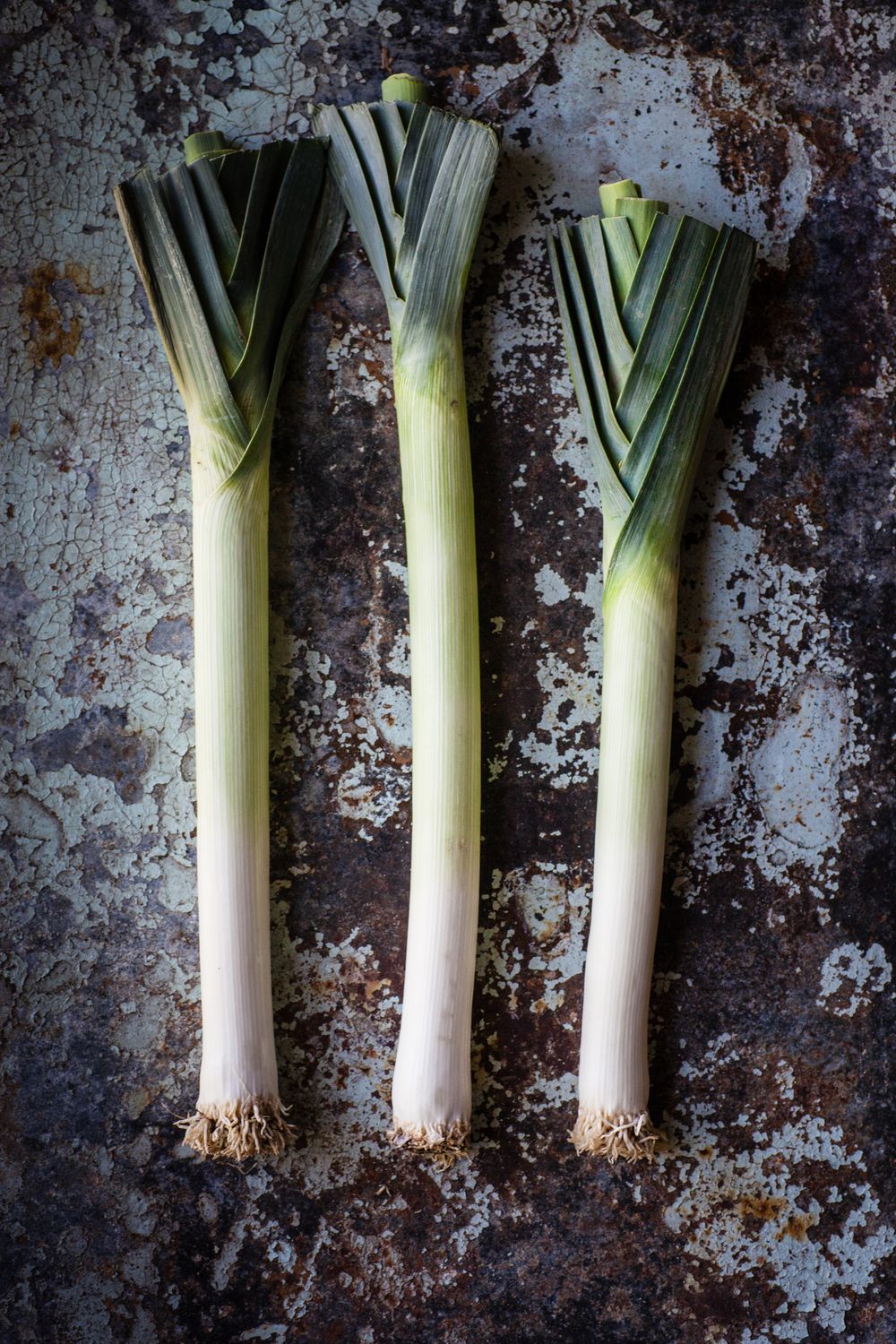 Leek