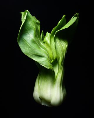Pak Choi