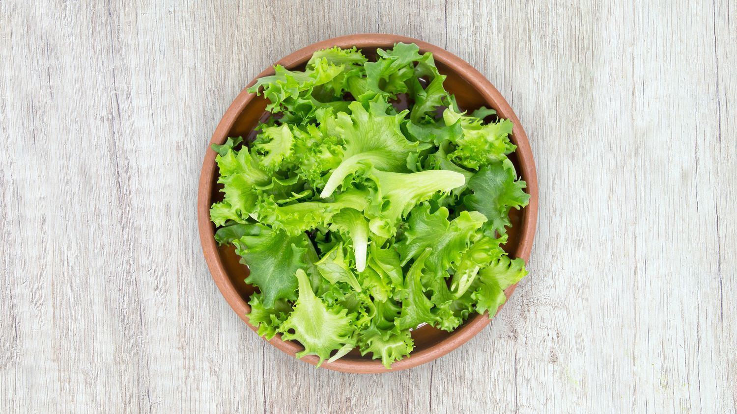 Lettuce Green Leaf