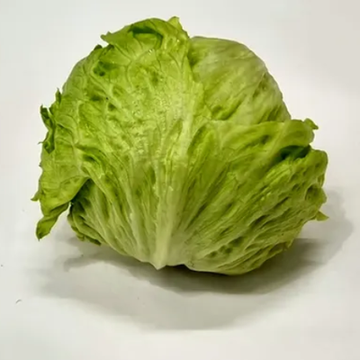 Lettuce Iceberg
