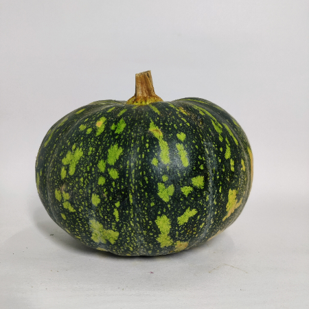 Pumpkin Green