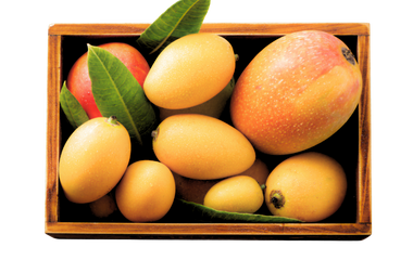 Assorted Mango Box