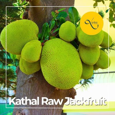 Kathal Raw Jackfruit