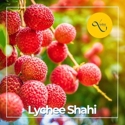 Lychee Shahi