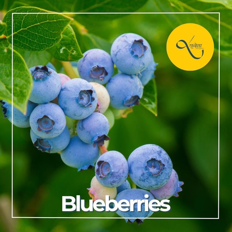 Blueberry Fresh