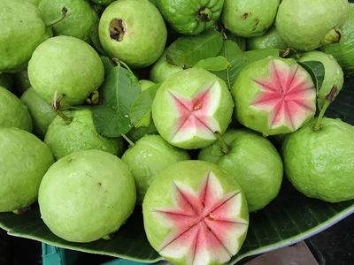 Guava Pink
