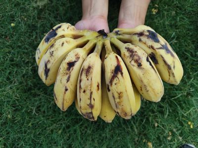 Banana Honey