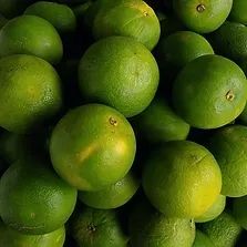 Sweet Lime Mausambi