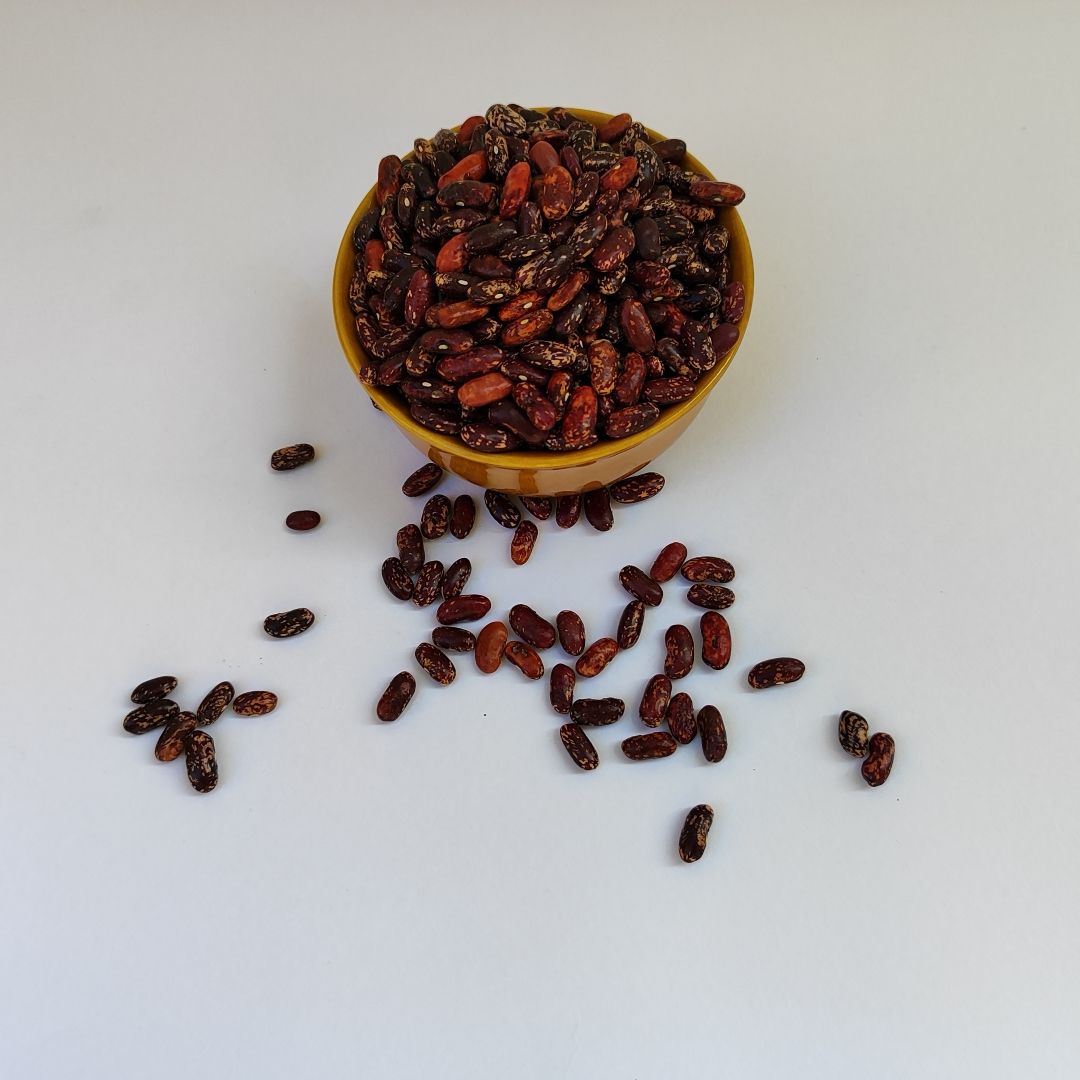 Rajma Chitra Red