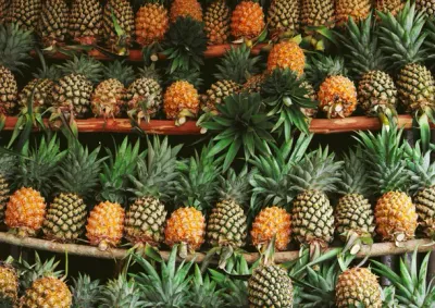 Pineapple Kew