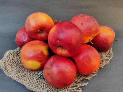 Apple Red Low Grade