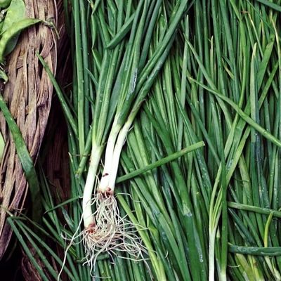 Fresh Organic Garlic Greens Online Home Delivery Sanesa Yourganic