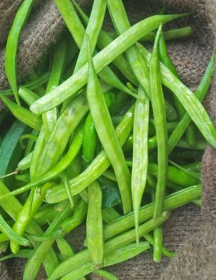Gwar Phali Cluster Beans