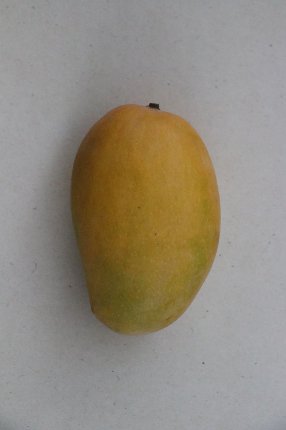 Mango Kesar