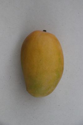 Mango Kesar