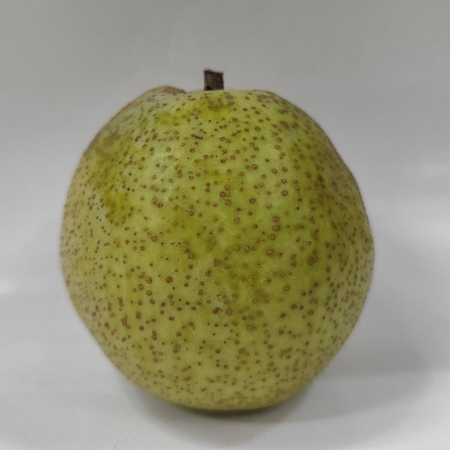 Pear Nakh