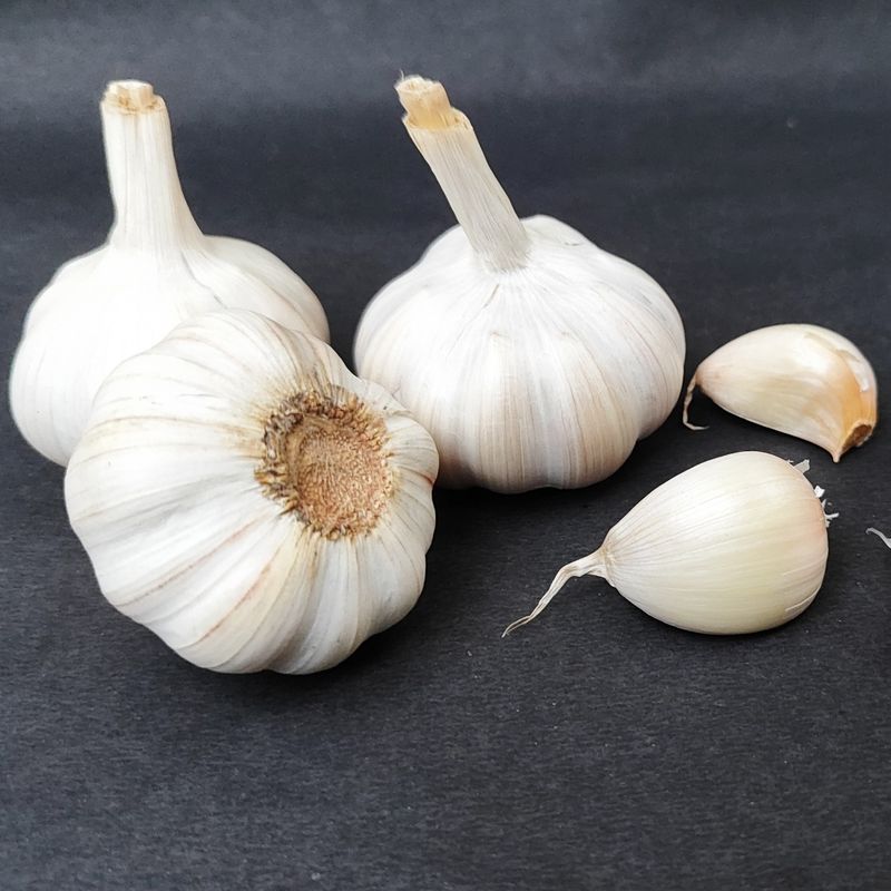 Garlic White Big