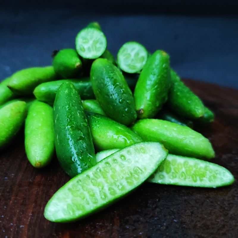 Kundru Ivy Gourd