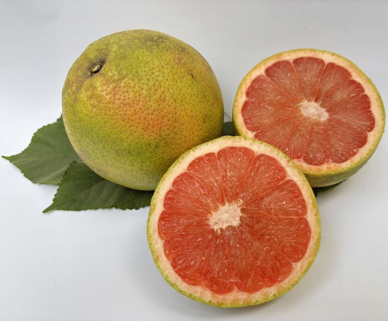 Pomelo Chakotra
