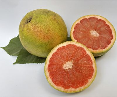 Pomelo Chakotra