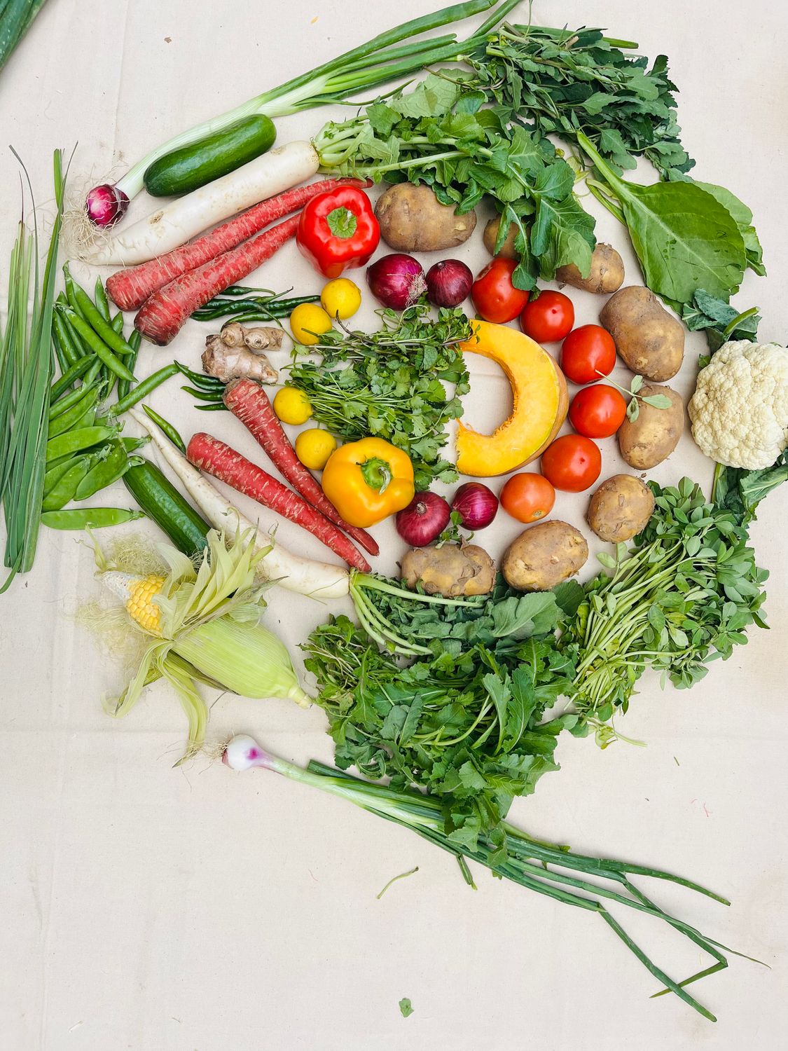 All-Day Cooking Veg Basket