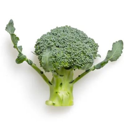 Broccoli