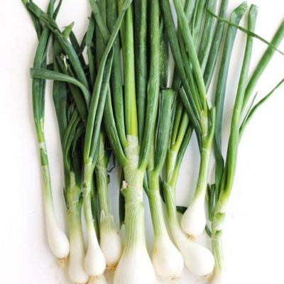 Spring Onion Greens