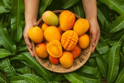 Buy naturally ripened mangoes online – fresh Indian mango varieties