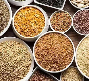 Organic Rice, Wheat &amp; Flours