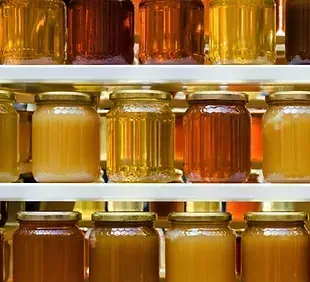 Pure and Unprocessed Forest Honeys