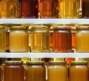 Organic Honeys | Pure and Raw Natural Forest Honeys