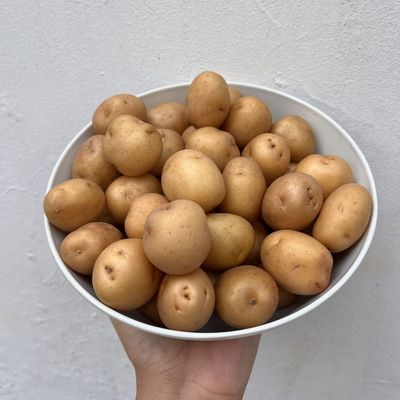 Potato Baby