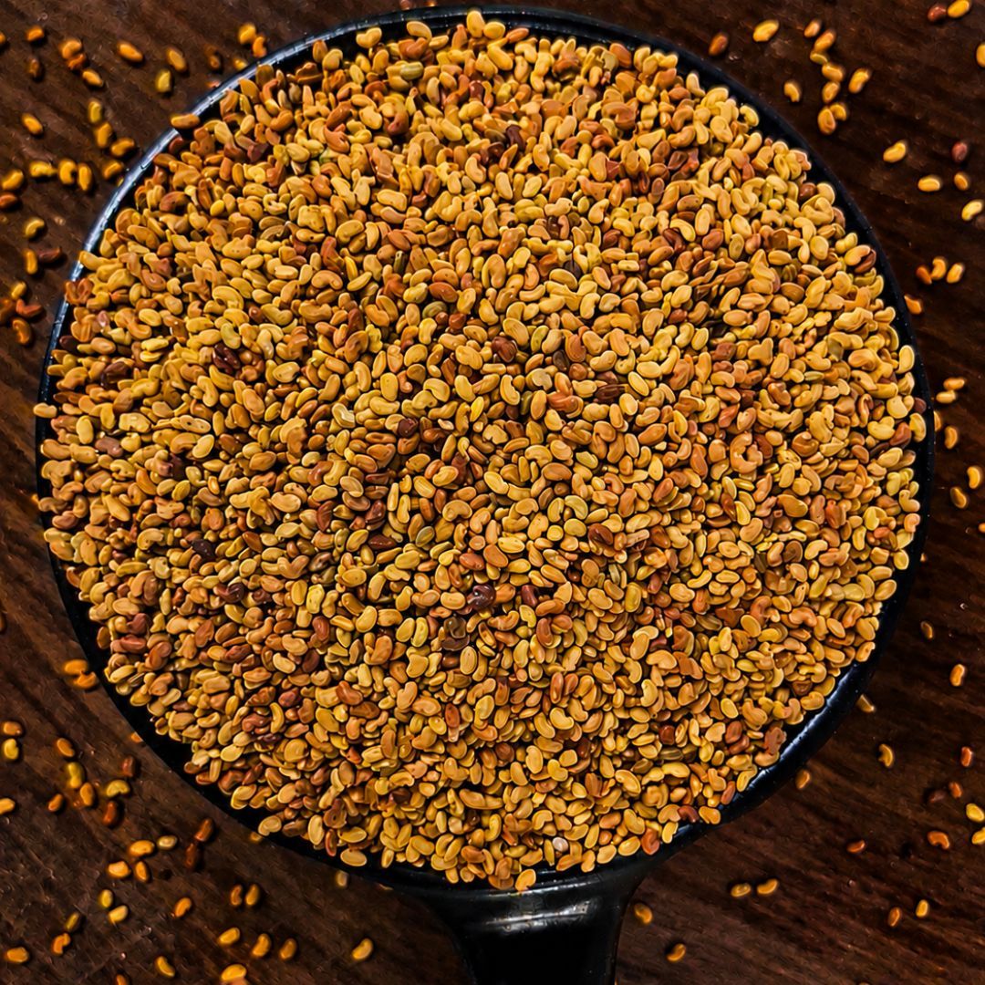 Alfa Alfa seeds piled in a black bowl, showcasing their tiny golden-brown grains and distinctive natural texture.