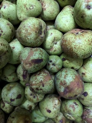 Pear Bergamot Babugosha Low Grade