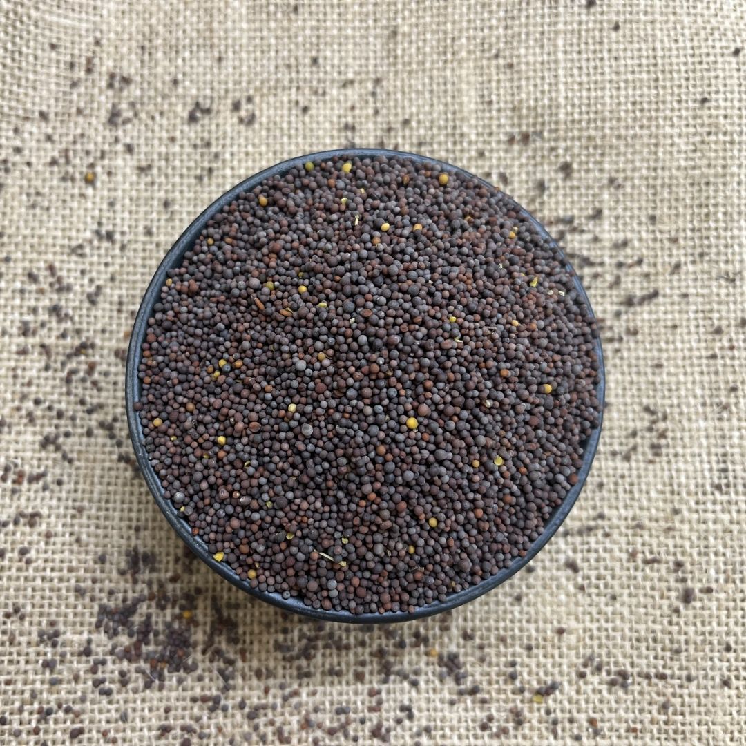 Seeds Rai Mustard