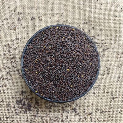 Seeds Rai Mustard