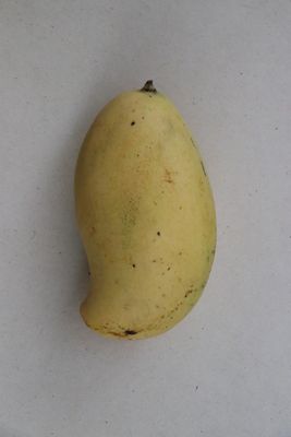 Mango Pedda Rasalu Juicy