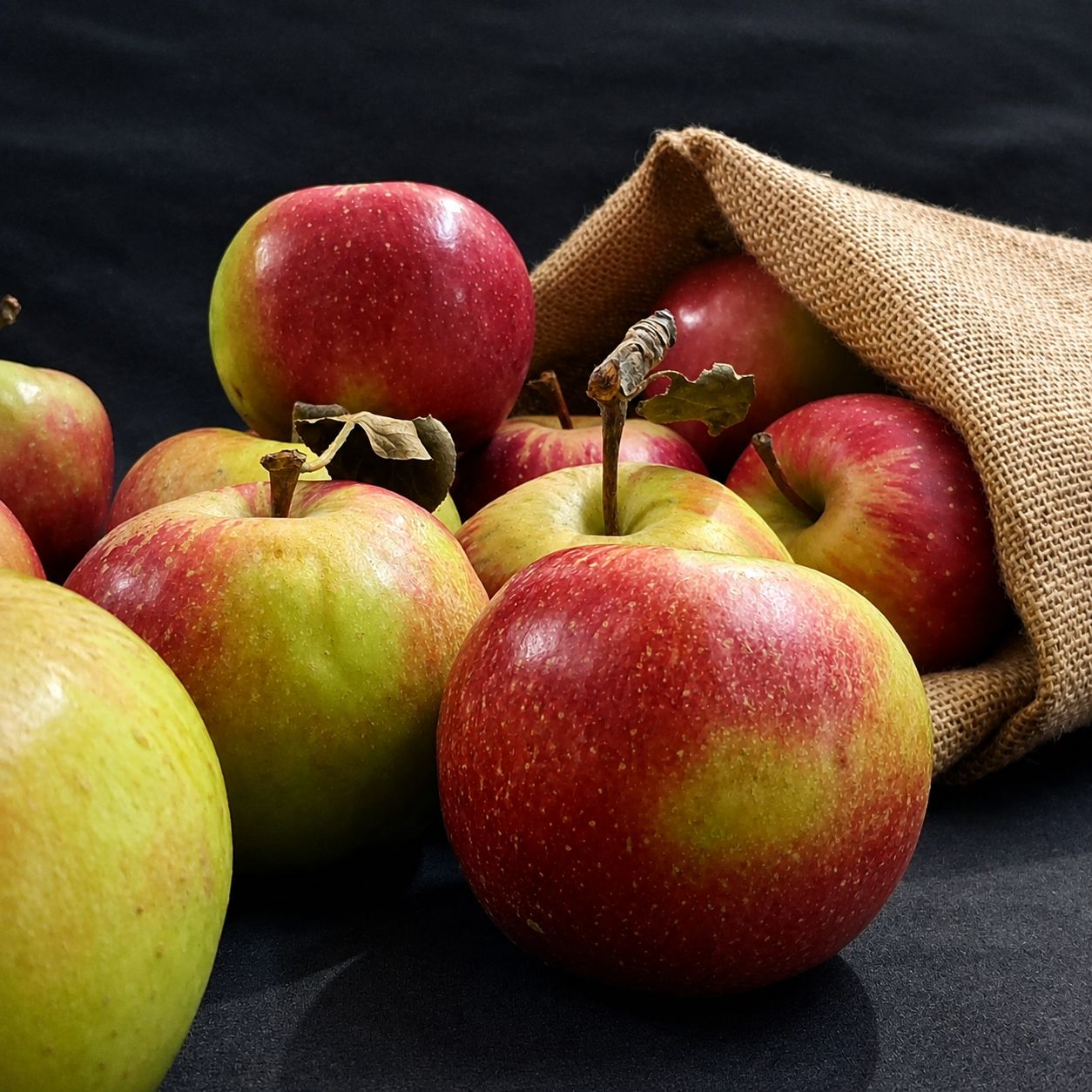 Fresh organic Red Gold apples with ruby-red and green skin, crisp juicy flesh, balanced sweetness and a refreshing bite, too.